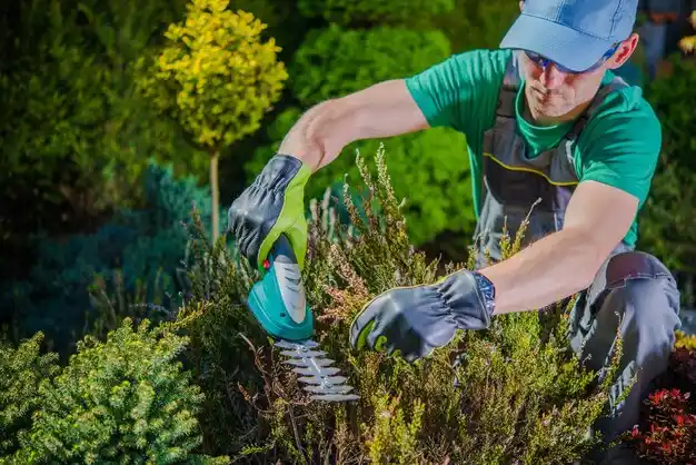 landscaping services Valley View